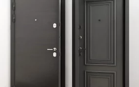 Modern Dark Security Entrance Doors Set