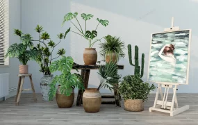 Indoor Ornamental Plants