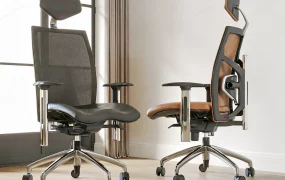 Ergonomic Executive Office Chairs