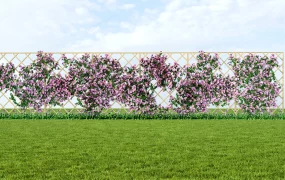 Flowering Vine Garden Fence