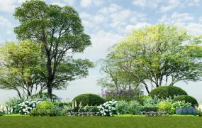 Mixed Border Planting Design