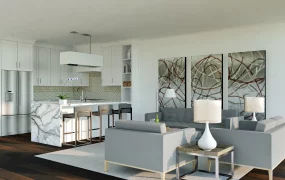 Living Room And Kitchen Combo