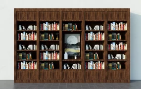 Full Wall Bookcase