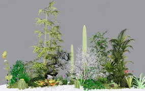 Garden Botanical Plants And Foliage Landscape Collection SketchUp 3D Model