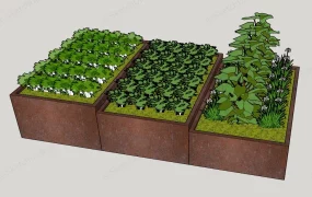 Raised Veggie Garden Bed