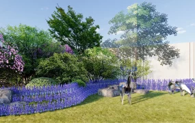 Plant Based Garden Border Ideas