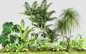 Tropical Garden Design