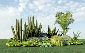 Ornamental Garden Plants Ideas