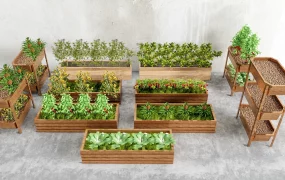 Raised Vegetable Planters