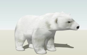 Polar Bear