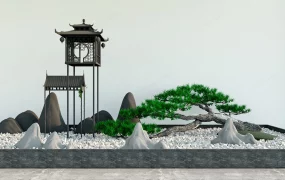 Zen Dry Garden