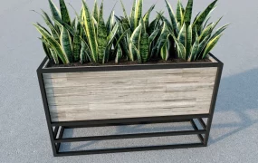 Raised Planter Box