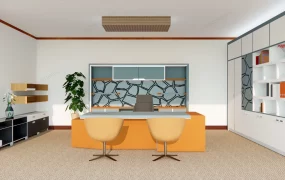 Modern Executive Office Ideas