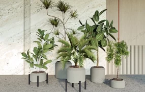 Cement Planter Indoor Plants