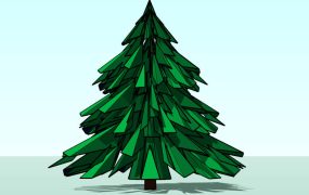 Evergreen Spruce Tree