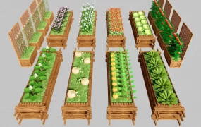 Vegetable Garden Beds
