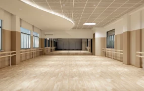 School Dance Classroom