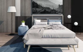 Accent Wall In Bedroom Idea