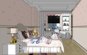 Teenage Girl Bedroom Idea