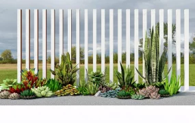 Succulent Garden Ideas