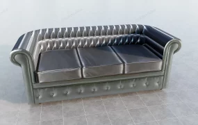 Black Leather Couch