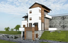 Modern Japanese Town House