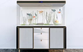Home Aquarium Tank