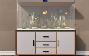 Fish Tank And Cabinet