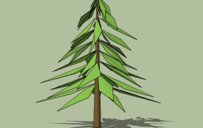 Evergreen Pine Tree