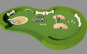 Dog Agility Training Facility