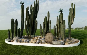 Cactus Garden Bed
