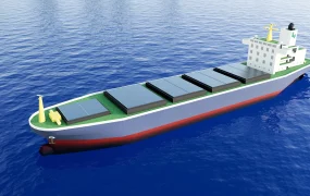 Bulk Cargo Ship