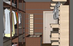 Walk-In Closet Idea