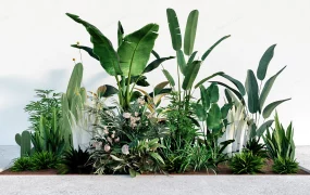 Tropical Botanical Garden Bed Plants Collection SketchUp 3D Model