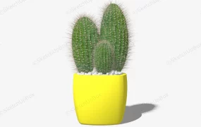 Cactus In Yellow Pot
