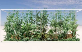 Tropical Garden Plants