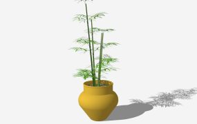 Potted Green Bamboo Plant