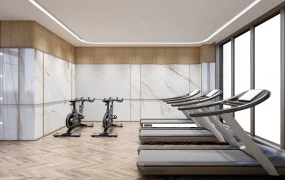 Modern Office Fitness Room