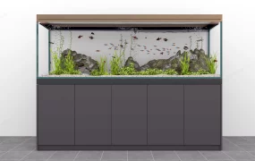 Freshwater Aquarium Aquascape Idea