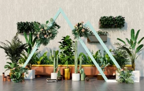 Indoor Gardening Plants
