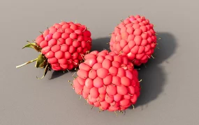 Raspberry Fruit