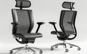 Ergonomic Mesh Office Chair