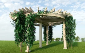 Round Pergola With Vine