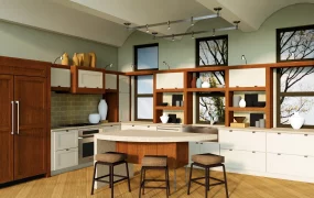 Mid Century Modern Kitchen