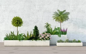Raise Bed Garden Ideas