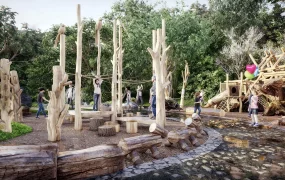 Rustic Wooden Playground