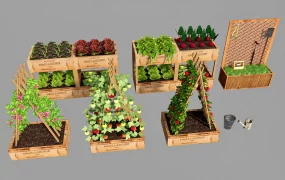 Raised Vegetable Garden Beds