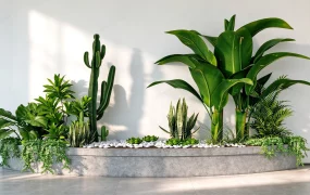 Modern Indoor Concrete Planter With Tropical Plants SketchUp 3D Model