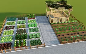 Outdoor Vegetable Garden