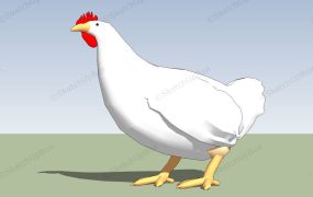 White Hen Chicken